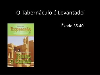 o tabern culo levantado