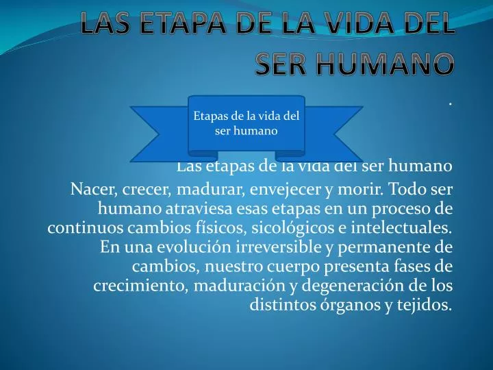 las etapa de la vida del ser humano