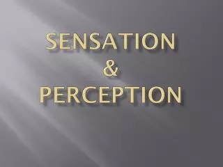 Sensation &amp; perception
