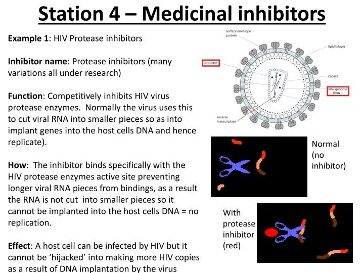 station 4 medicinal inhibitors