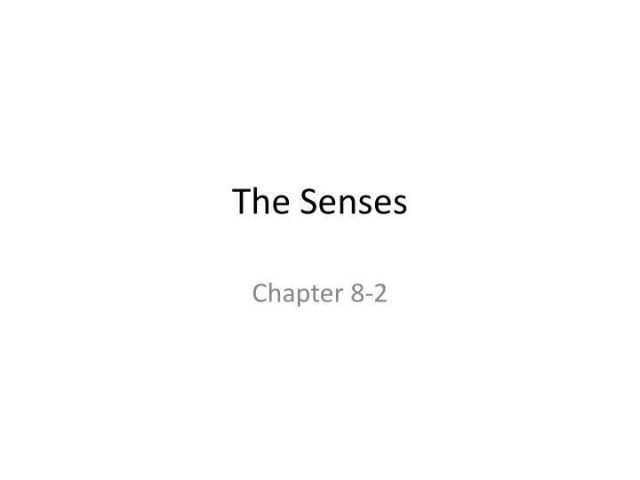 the senses