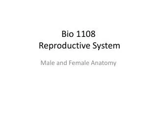 Bio 1108 Reproductive System