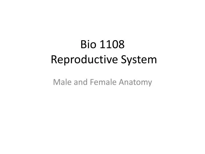 bio 1108 reproductive system