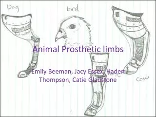 Animal Prosthetic limbs