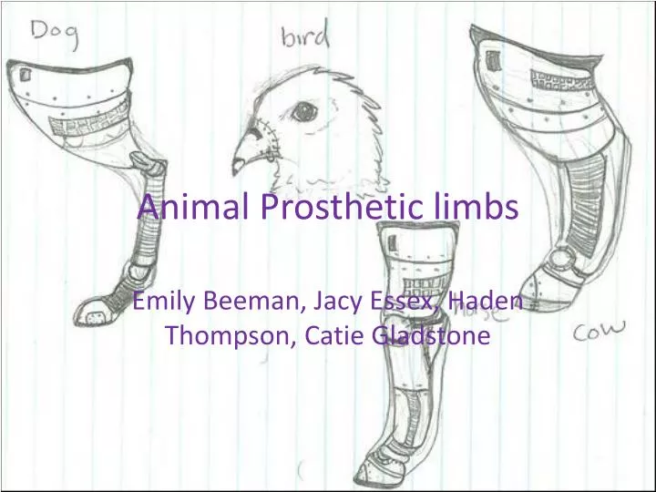 animal prosthetic limbs