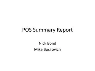 POS Summary Report