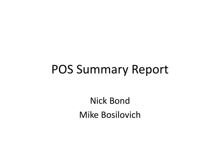 pos summary report