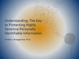 Understanding: The Key to Protecting Highly Sensitive Personally Identifiable Information