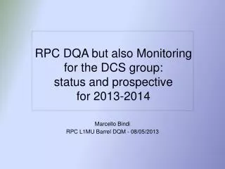 RPC DQA but also Monitoring for the DCS group: status and prospective for 2013-2014