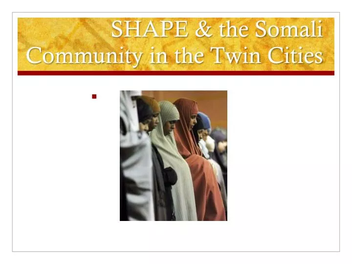 shape the somali community in the twin cities