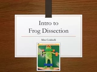 Intro to Frog Dissection