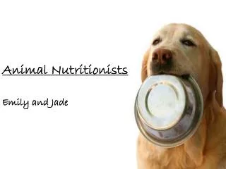 Animal Nutritionists