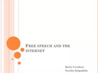 Free speech and the internet