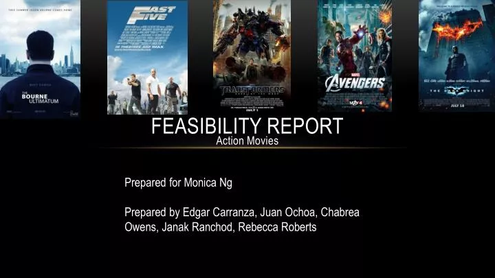 feasibility report
