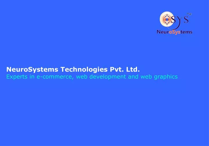 neurosystems technologies pvt ltd experts in e commerce web development and web graphics