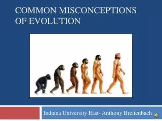 Common misconceptions of evolution