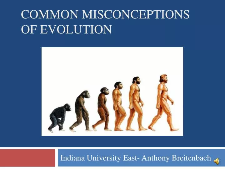 common misconceptions of evolution