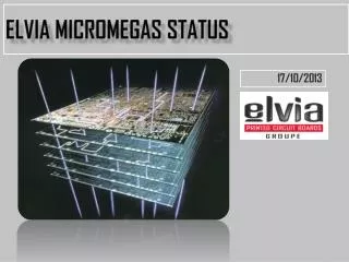Elvia MICROMEGAS STATUS