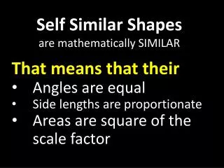 Self Similar Shapes are mathematically SIMILAR