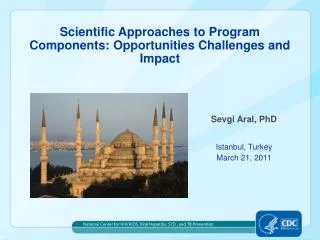 Scientific Approaches to Program Components: Opportunities Challenges and Impact