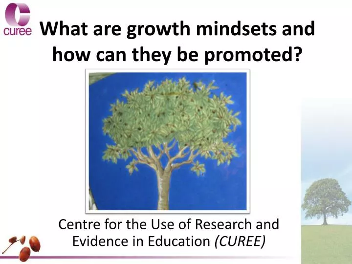 what are growth mindsets and how can they be promoted