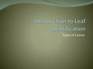 Introduction to Leaf Identification