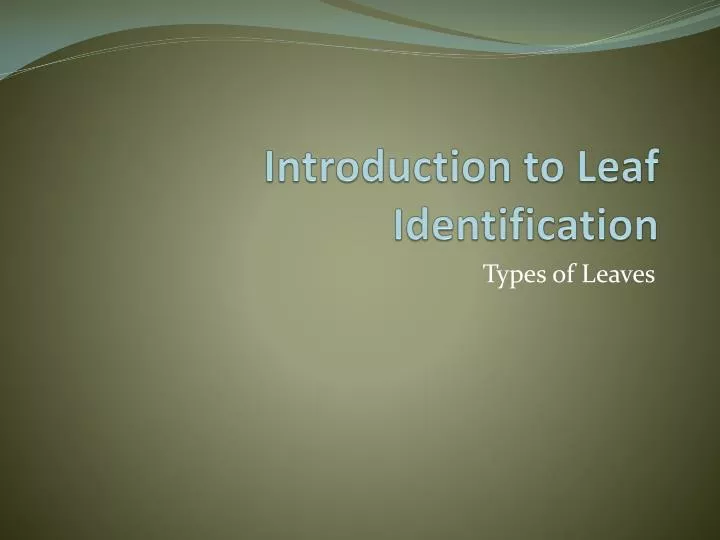 introduction to leaf identification