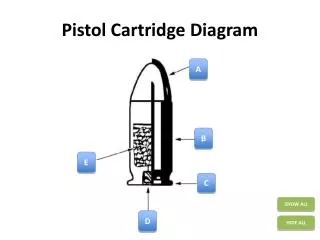 Pistol Cartridge Diagram