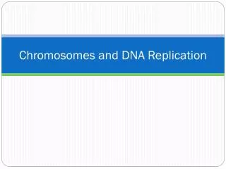 Chromosomes and DNA Replication