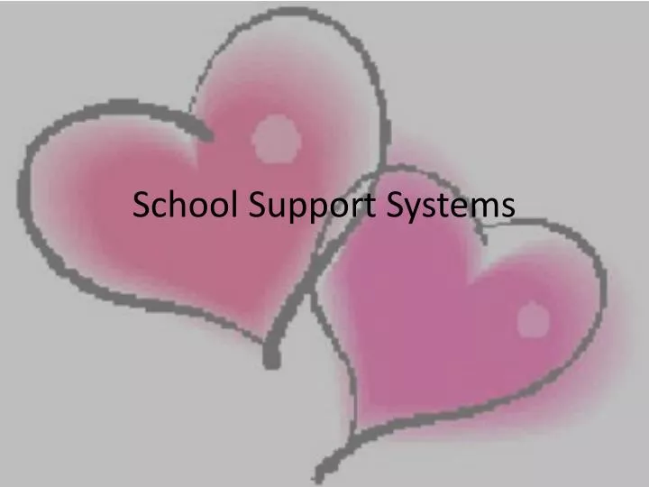 school support systems