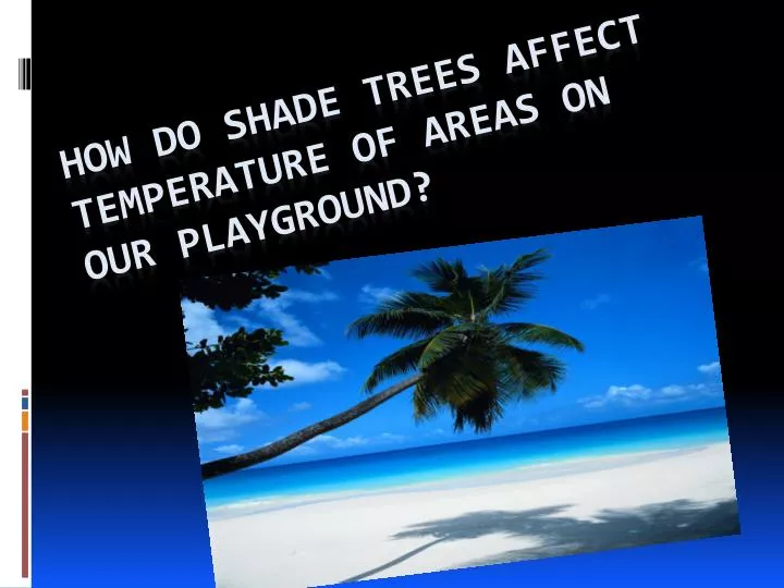 how do shade trees affect temperature of areas on our playground
