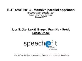 BUT SWS 2013 - Massive parallel approach