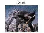 Shake! - slide 1