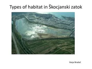 Types of habitat in Škocjanski zatok