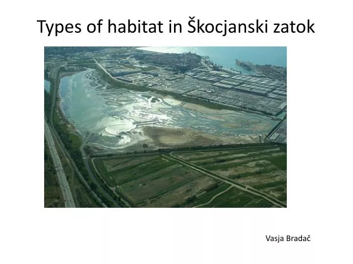 types of habitat in kocjanski zatok
