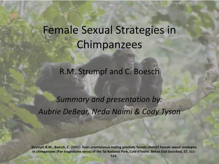 female sexual strategies in chimpanzees r m strumpf and c boesch