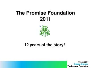 The Promise Foundation 2011