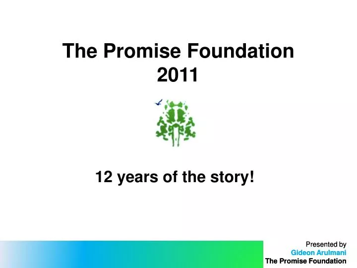 the promise foundation 2011