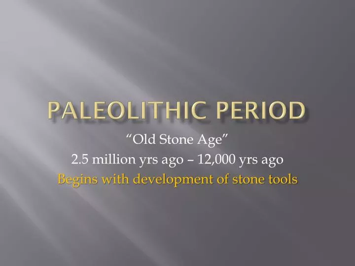 paleolithic period