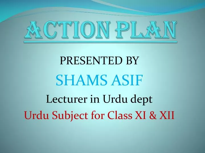 action plan