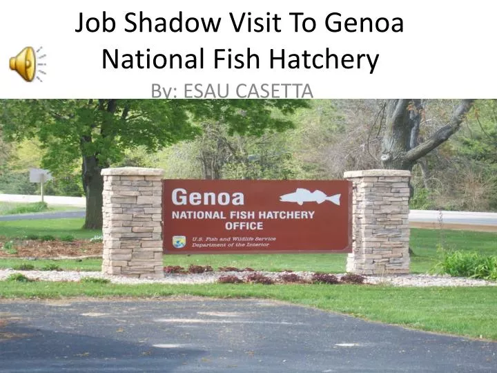 job shadow visit to genoa national fish hatchery