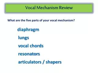Vocal Mechanism Review