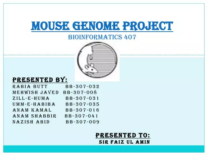 mouse genome project bioinformatics 407