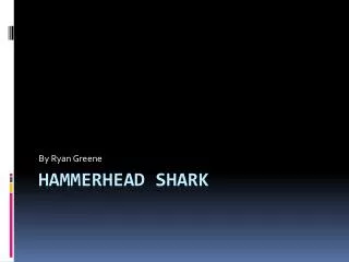 Hammerhead shark