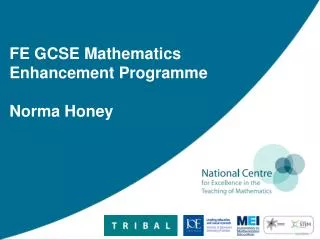 FE GCSE Mathematics Enhancement Programme Norma Honey