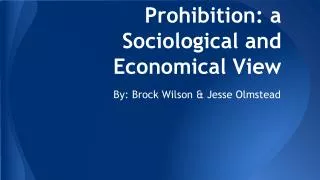 Prohibition: a Sociological and Economical View