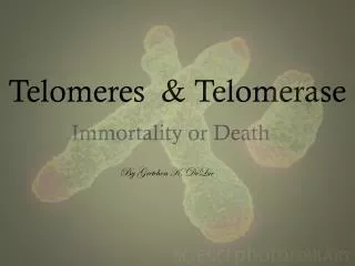 Telomeres &amp; Telomerase