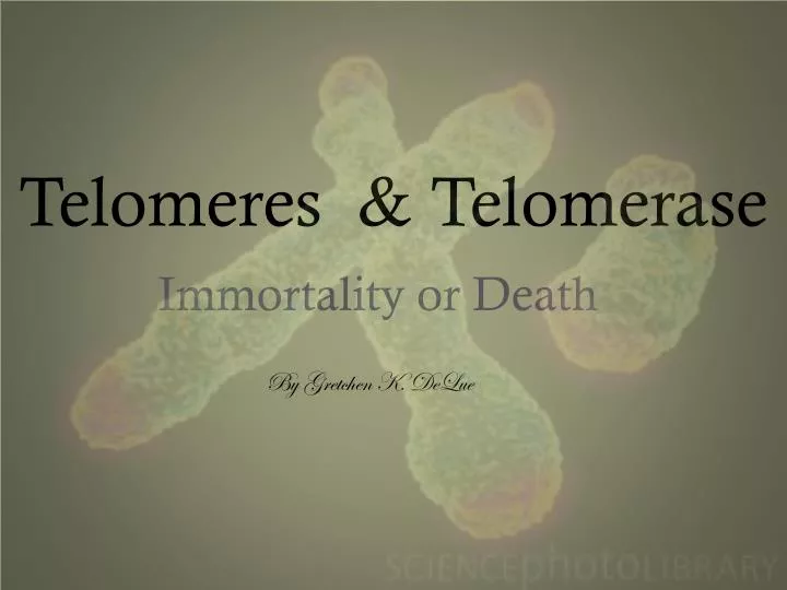 telomeres telomerase