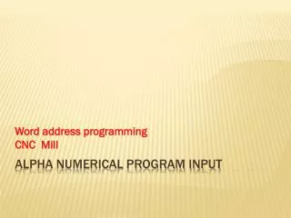 Alpha numerical program input