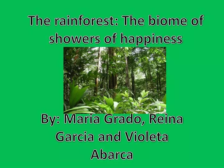 the rainforest the biome of showers of happiness